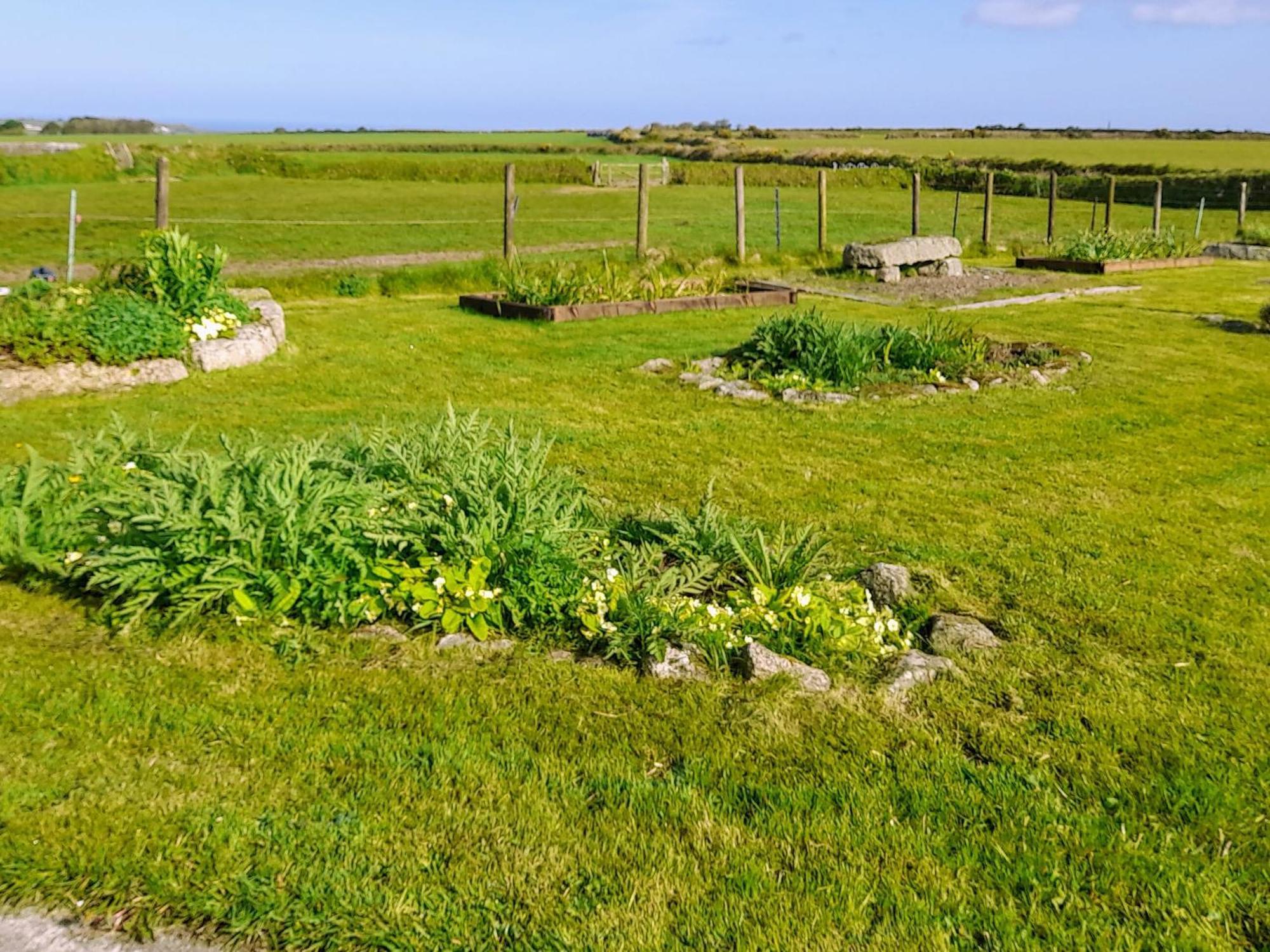 Carnbrea Ash Tree Cottage מראה חיצוני תמונה